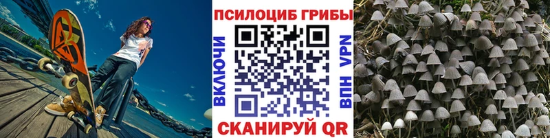 Псилоцибиновые грибы GOLDEN TEACHER  Спас-Деменск 
